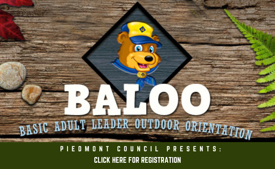 baloo-training-banner
